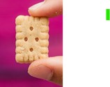 SABLE COMTE GRAINE SESAME BIO